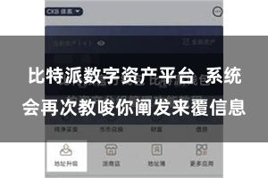 比特派数字资产平台 系统会再次教唆你阐发来覆信息