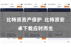 比特派资产保护  比特派安卓下载应时而生