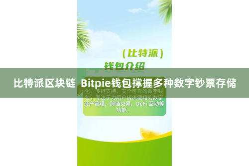 比特派区块链  Bitpie钱包撑握多种数字钞票存储