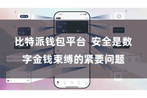 比特派钱包平台  安全是数字金钱束缚的紧要问题