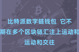 比特派数字链钱包  它不错同期在多个区块链汇注上运动和交往