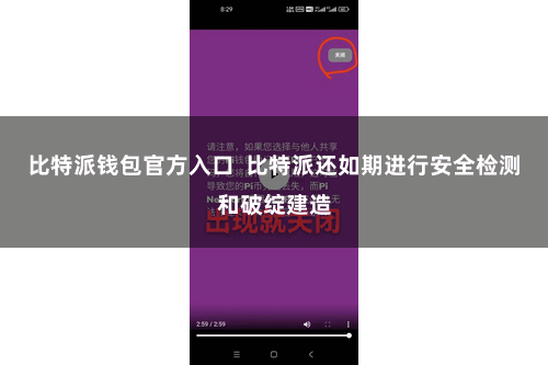 比特派钱包官方入口  比特派还如期进行安全检测和破绽建造