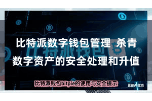 比特派数字钱包管理  杀青数字资产的安全处理和升值