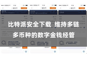 比特派安全下载  维持多链多币种的数字金钱经管